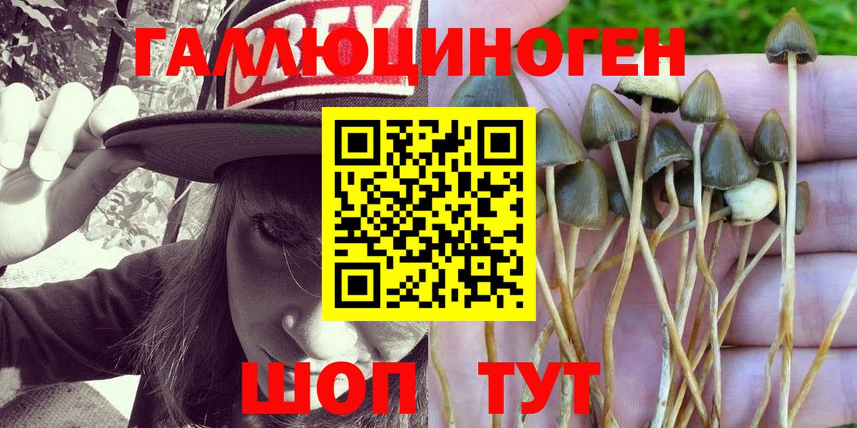 Псилоцибиновые грибы MAGIC MUSHROOMS Ишим