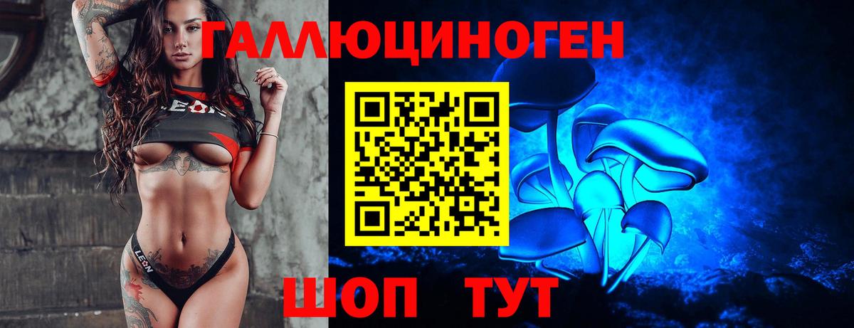 Псилоцибиновые грибы Psilocybe  Вход с VPN  Ишим  Псилоцибиновые грибы мухоморы 